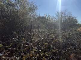 Продается участок 4.6 сот. СНТ Икар Гагаринский район. Участок...