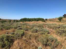  

Предлагается продажа видового земельного участка.

 

Участок...