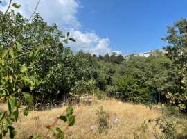 Участок с домиком на южном берегу Крыма!

Участок ровный, в тихом...