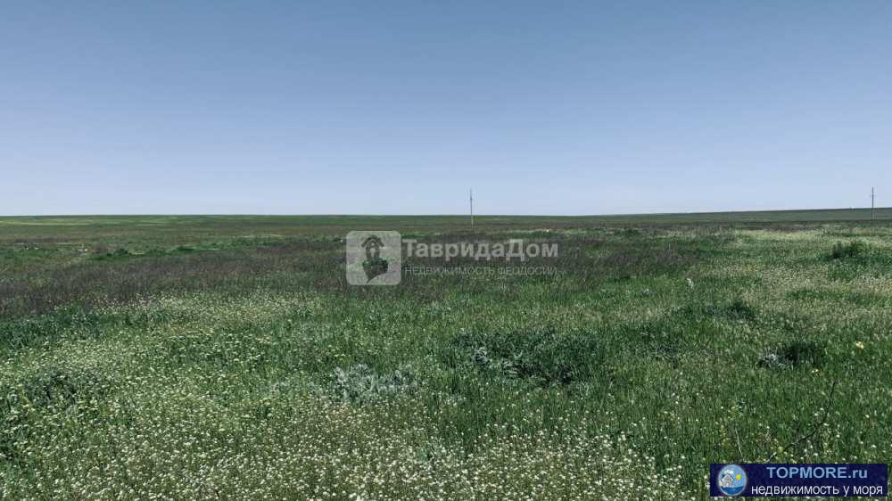 Продам садовый участок 8 соток, СНТ Нептун,  Приморский, Феодосия. Участок правильной прямоугольной формы, без... - 1