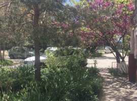 Продаётся 2-х комнатная квартира в спокойном зелёном районе Анапы,...