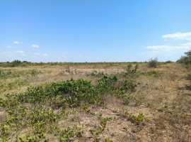 Предлагается к продаже участок 130 соток в СТ "Берег"...