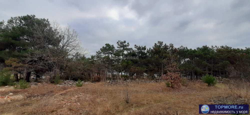 Продается участок 6 соток крайний угловой с выходом и видом на сосновый лес.  Участок в тупиковой улице, соседей...