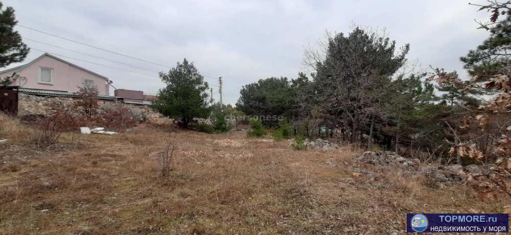 Продается участок 6 соток крайний угловой с выходом и видом на сосновый лес.  Участок в тупиковой улице, соседей... - 1