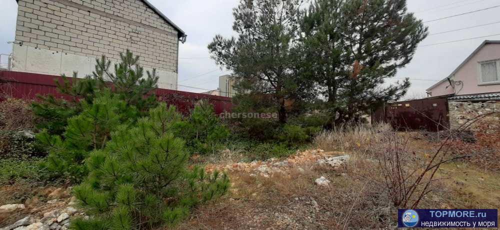 Продается участок 6 соток крайний угловой с выходом и видом на сосновый лес.  Участок в тупиковой улице, соседей... - 2