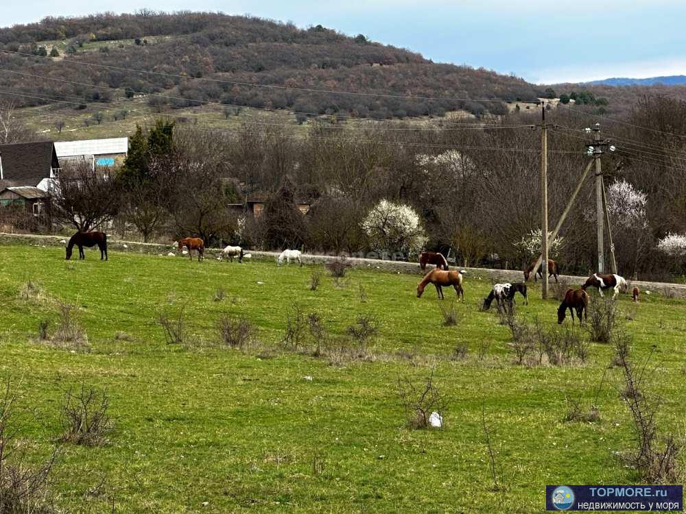 Продается видовой земельный участок 9 соток в селе Передовое . Свет по границе . Участок имеет небольшой склон ....