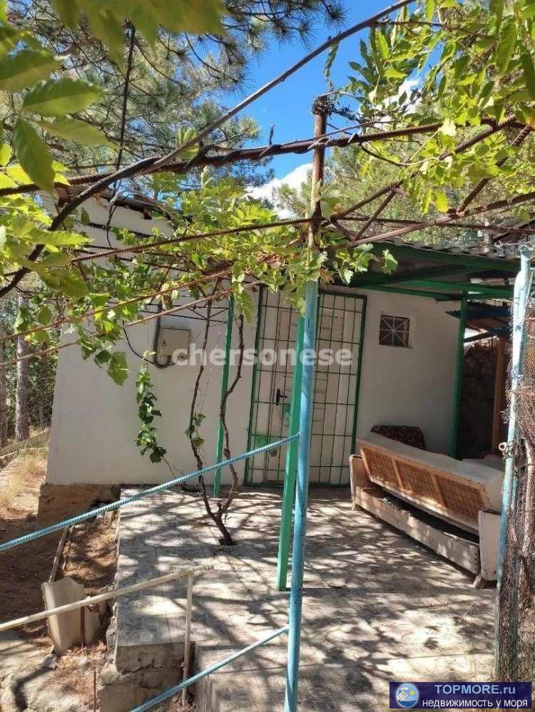 Предлагаем рассмотреть небольшой домик-дача в районе санатория Днепр на ул. Алупкинское шоссе. Компактный домик... - 1