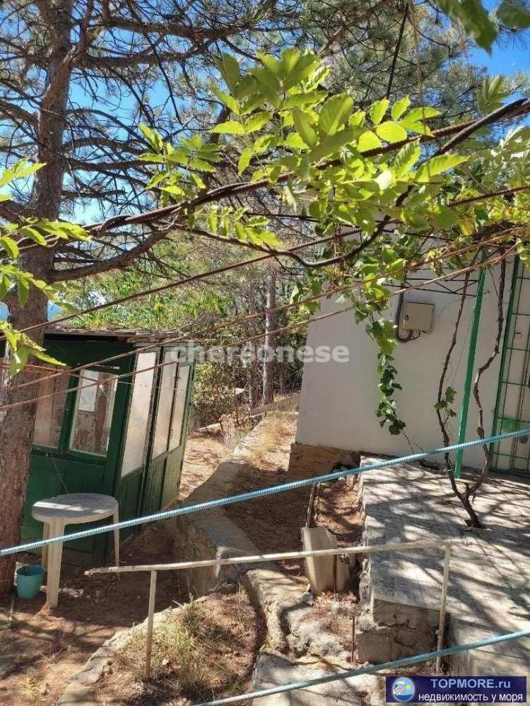 Предлагаем рассмотреть небольшой домик-дача в районе санатория Днепр на ул. Алупкинское шоссе. Компактный домик... - 2