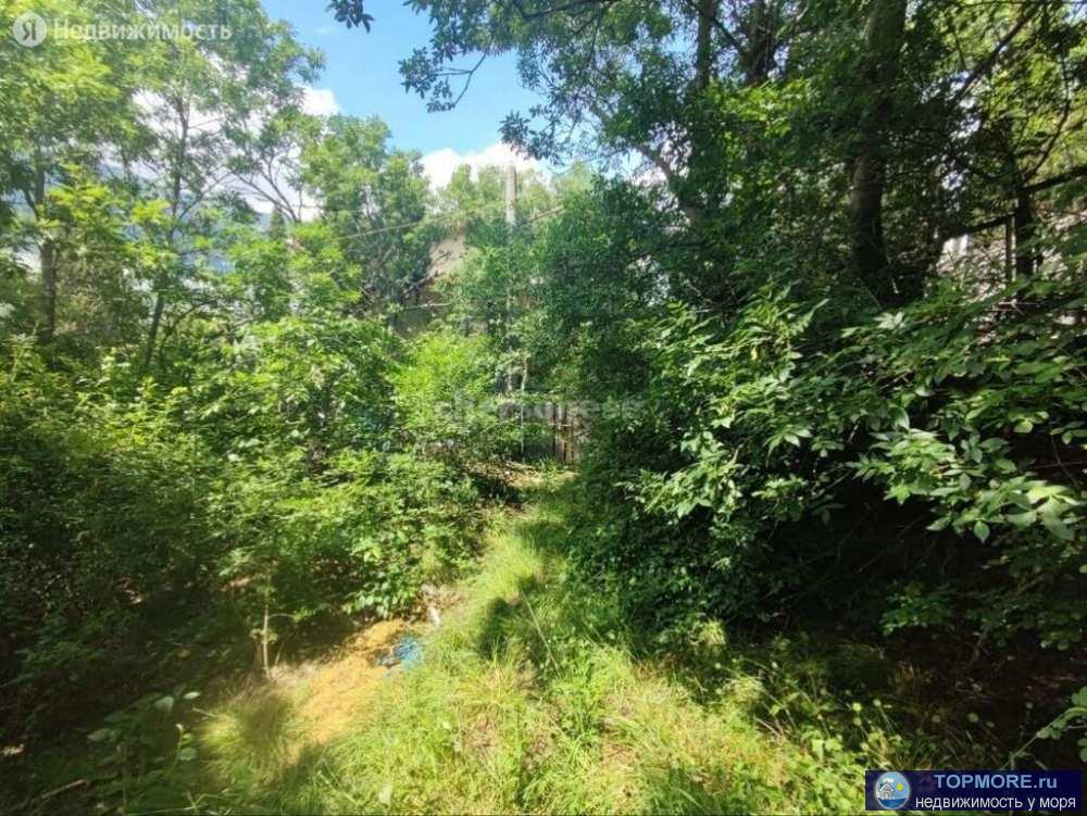 Предлагается к продаже видовой участок в ПГТ Краснокаменка, Ялтинский район.  Потрясающий вид на горы и лес.... - 1