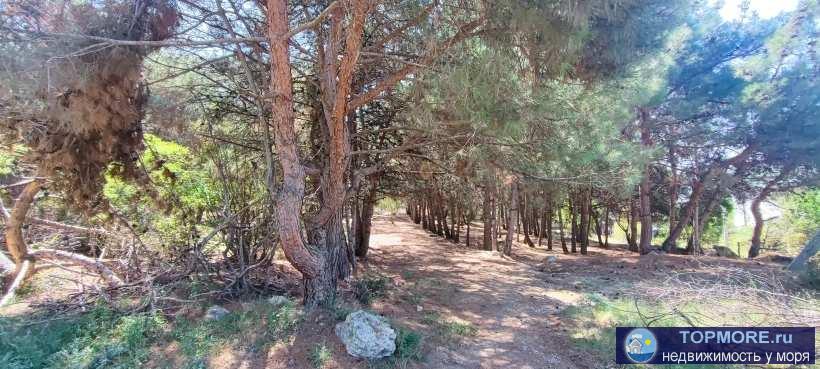 Участок ИЖС, 4 сотки, подъезд по асфальту с ул. Генерала Жидилова.   Распложен отлично!  Городская вода заведена на... - 1