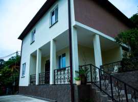 Лот № 163631. Продается отличный дом в с.Орел-Изумруд с ремонтом,...