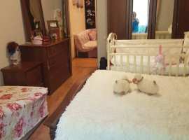 Лот № 172048. Квapтира 50 кв.м. с pемонтом, мебелью, тeхникoй. В...