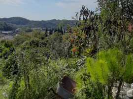 Лот № 171941. Продается дом в Лазурной Долине. Тихое, уютное...