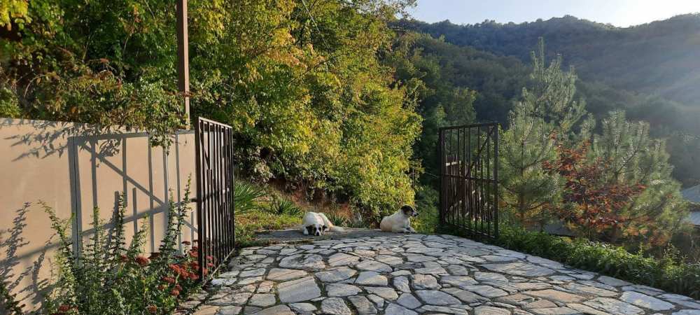 айский уголок в горах у моря - ВОПЛОЩЕНИЕ ВАШЕЙ МЕЧТЫ!  Вот и наступает тот момент, когда вы можете воплотить свои... - 9