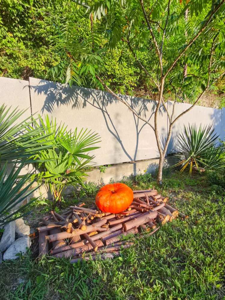 айский уголок в горах у моря - ВОПЛОЩЕНИЕ ВАШЕЙ МЕЧТЫ!  Вот и наступает тот момент, когда вы можете воплотить свои... - 29