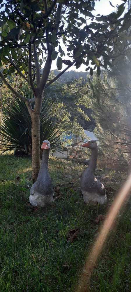 айский уголок в горах у моря - ВОПЛОЩЕНИЕ ВАШЕЙ МЕЧТЫ!  Вот и наступает тот момент, когда вы можете воплотить свои... - 32
