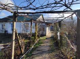 Просыпаться утром под пение лесных птиц, выйти на улицу вдохнув...