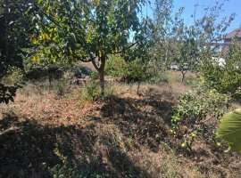 Участок правильной прямоугольной формы, ширина 15 метров.

Вода по...