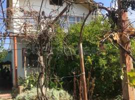 Продается видовой дом на участке  с плодовыми деревьями и небольшой...