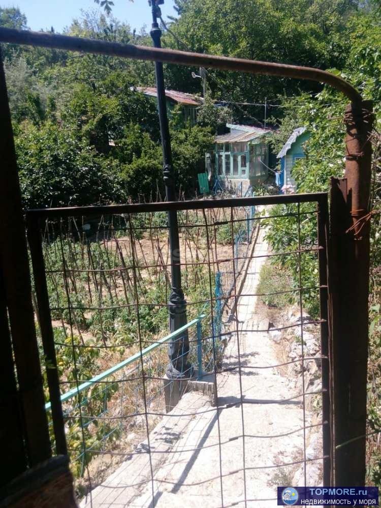 Продается земельный  участок в пгт Гурзуф.  Площадь 9.3 сот на участке фруктовые деревья, виноград.  Есть сооружения... - 1