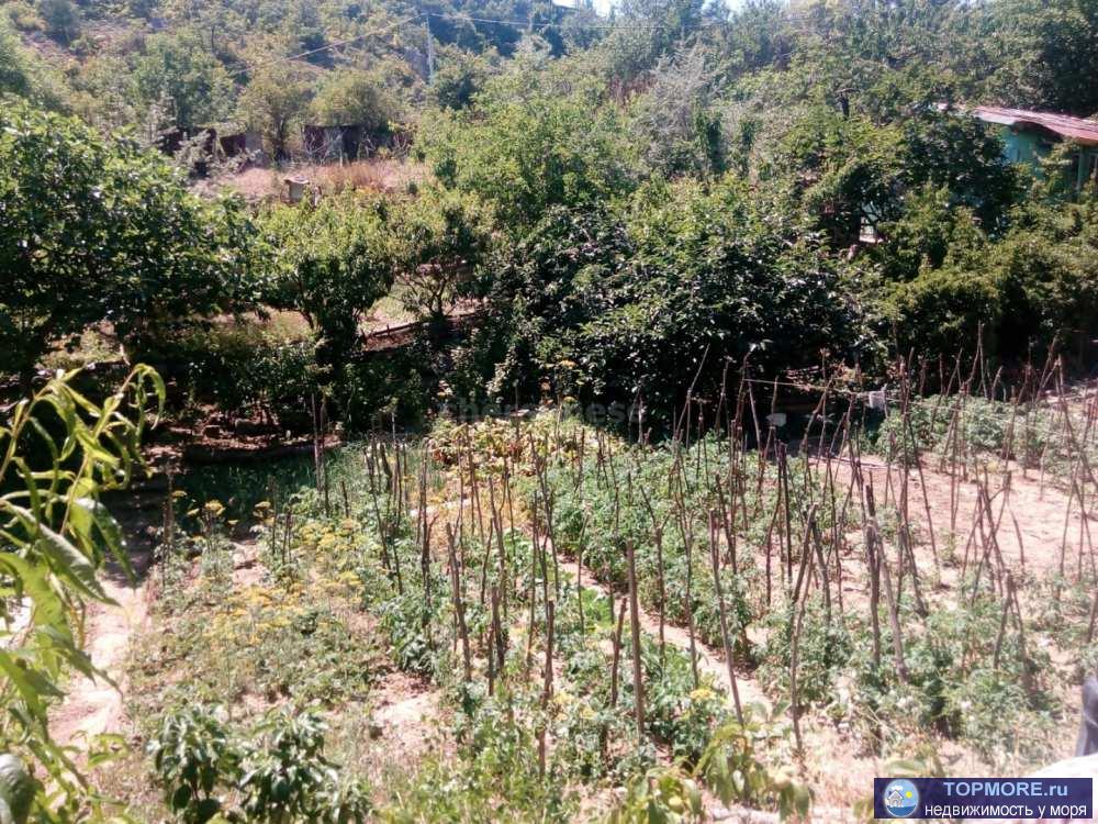 Продается земельный  участок в пгт Гурзуф.  Площадь 9.3 сот на участке фруктовые деревья, виноград.  Есть сооружения... - 2