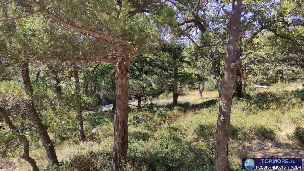 Продажа участка ИЖС 10 сот. на южном берегу Крыма (Гаспра)!  Участок правильной формы,  на склоне, асфальтированный... - 1