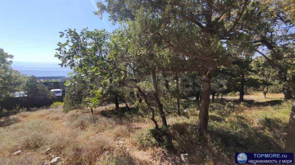 Продажа участка ИЖС 10 сот. на южном берегу Крыма (Гаспра)!  Участок правильной формы,  на склоне, асфальтированный... - 2