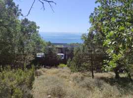 Продажа участка ИЖС 10 сот. на южном берегу Крыма (Гаспра)!...