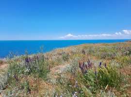 Предлагаем к продаже земельный участок ИДС в п. Кача.

Участок...