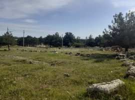 Продается участок 4 сотки в СНТ "Янтарь", Гагаринский...