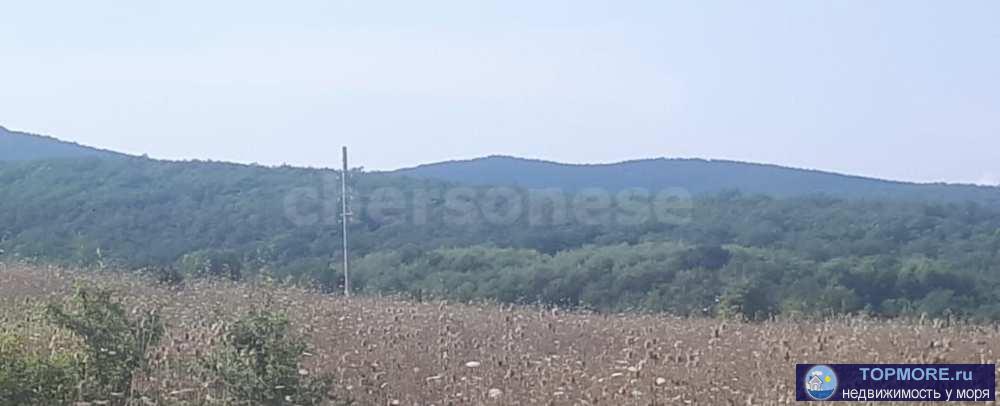 Лот № 73915  Срочно.  Земли населенных пунктов.  Расположен между селом Орлиное и Тыловое Балаклавского района г.... - 1