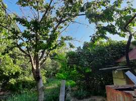 Продается ровный участок в красивом месте на Сапун горе в ТСН...