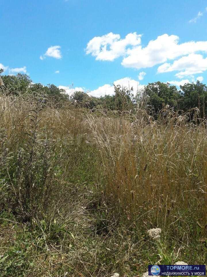 Лот № 73942     Предлагаем к продаже великолепный видовой участок в Байдарской долине.      Участок имеет удачную... - 2