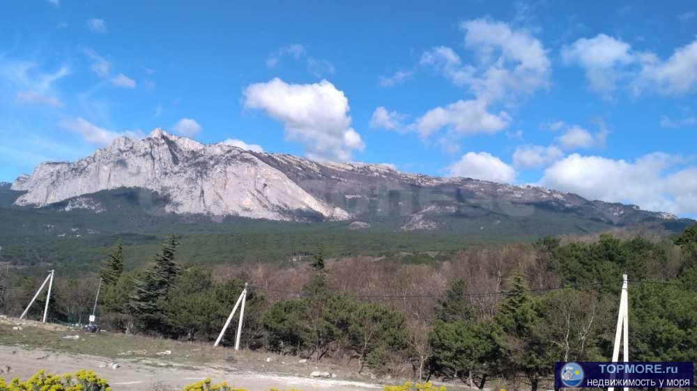 Лот № 73990  Продается земельный участок в Гаспре улица. Горького. Ровный почти правильной формы. Без краснокнижных...