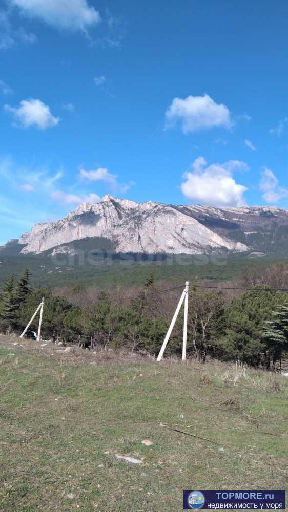 Лот № 73990  Продается земельный участок в Гаспре улица. Горького. Ровный почти правильной формы. Без краснокнижных... - 1