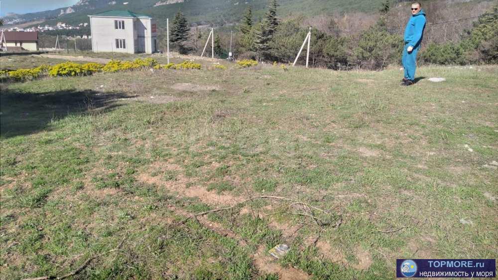 Лот № 73990  Продается земельный участок в Гаспре улица. Горького. Ровный почти правильной формы. Без краснокнижных... - 2