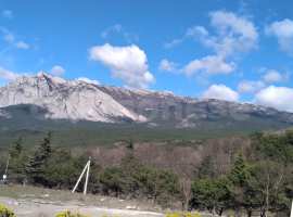 Лот № 73990

Продается земельный участок в Гаспре улица. Горького....