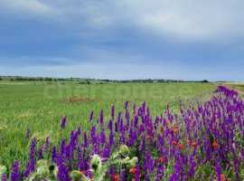 Лот № 73910

Срочно! Продается участок 271 сотка, в селе...