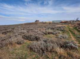 Объект № 73930

Предлагаем к продаже земельный участок 17 соток...