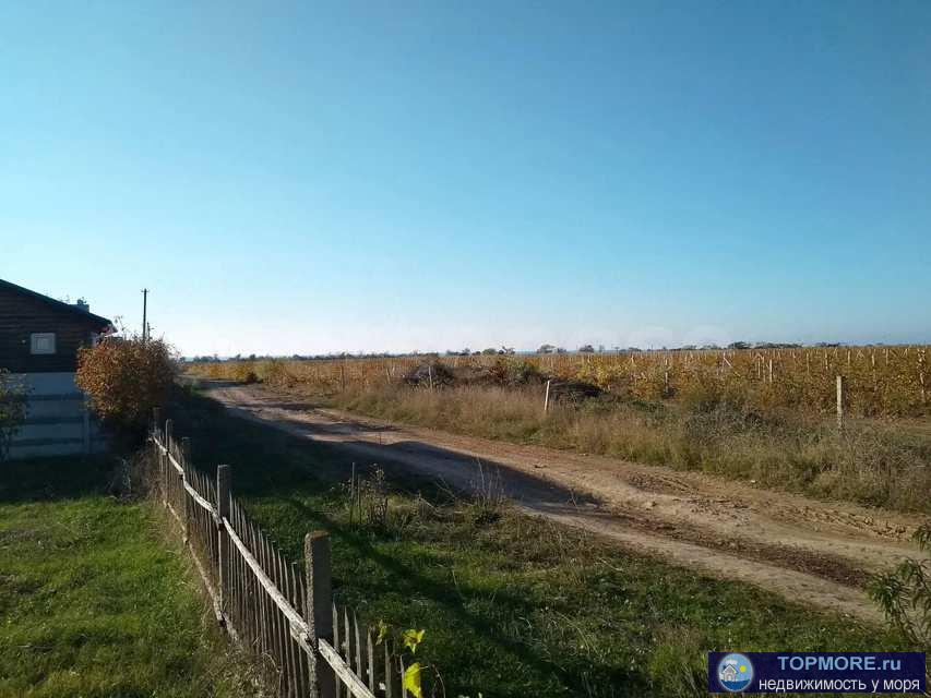 Лот № 73977 Предлагаем к продаже земельный участок в п.Орловка 4.56 соток (СНТ Дерзкий)   Участок ровный 19х24 м,...