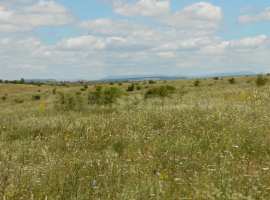 Лот № 74079

Продажа участка с/х назначения 3.75 Га. Участок готов...