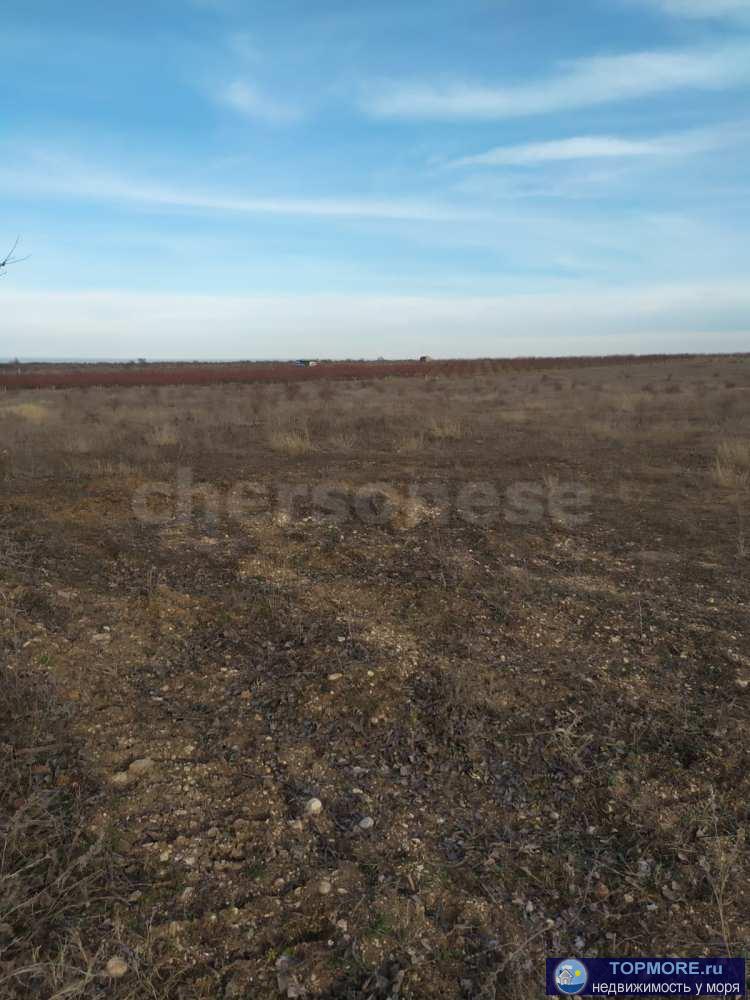 Лот № 74075  Продается 3 Га земли сельхозназначения, благоприятен для выращивания персика,миндаля, косточковых и...