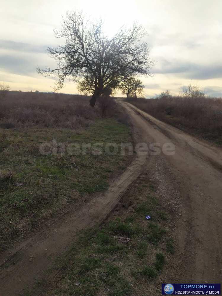 Лот № 74075  Продается 3 Га земли сельхозназначения, благоприятен для выращивания персика,миндаля, косточковых и... - 1