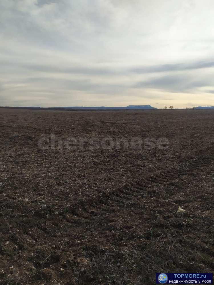 Лот № 74075  Продается 3 Га земли сельхозназначения, благоприятен для выращивания персика,миндаля, косточковых и... - 2