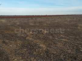 Лот № 74075

Продается 3 Га земли сельхозназначения, благоприятен...