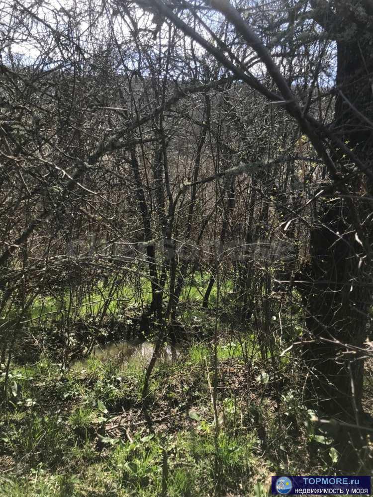 Объект № 74109  Продается большой видовой участок с небольшим уклоном. Расположен под горой возле леса, строится за... - 1