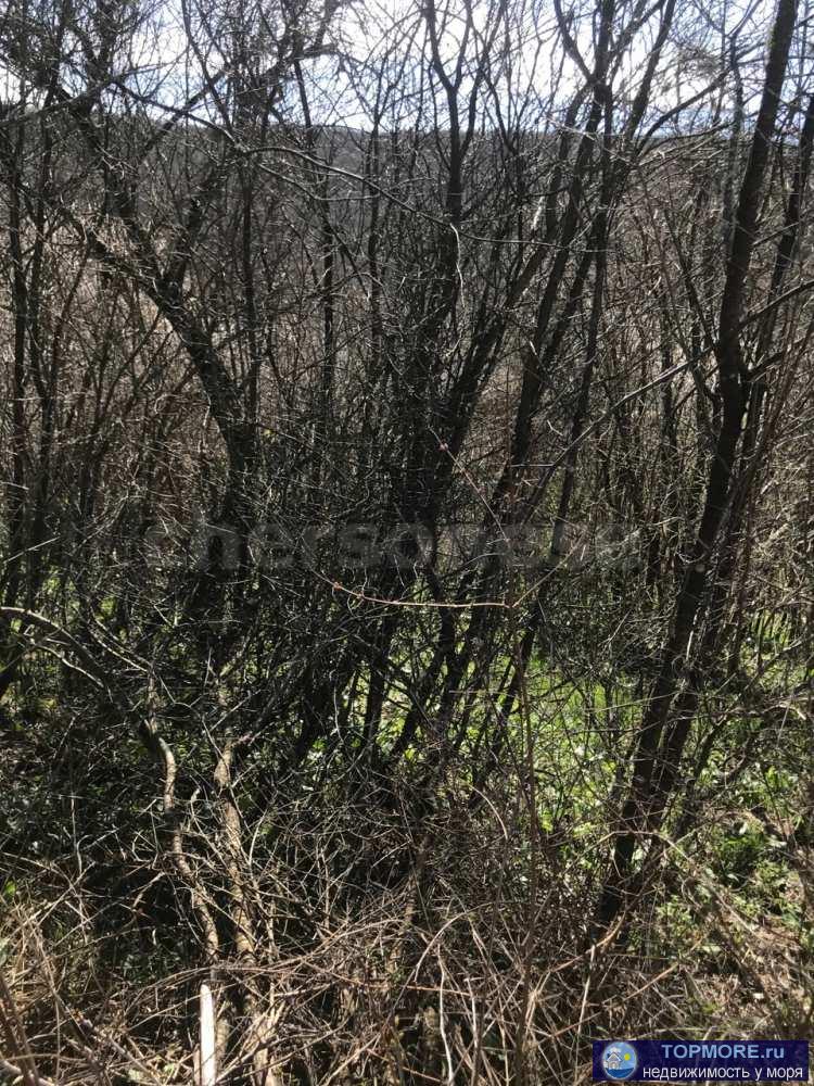 Объект № 74109  Продается большой видовой участок с небольшим уклоном. Расположен под горой возле леса, строится за... - 2