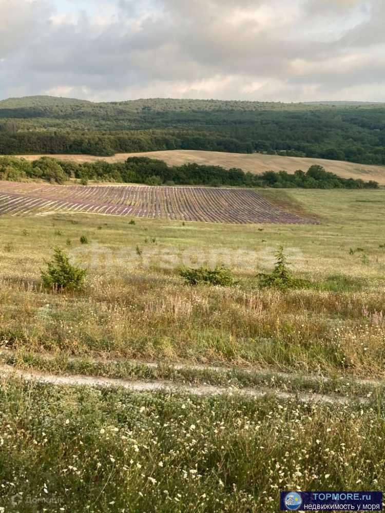 Лот № 74191  Большой, ровный участок в живописном месте, рядом ЭКО усадьба "Эски Кермен" и озеро...