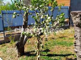 Продается участок 4,1 сотки в СТ "Восход" на Сапун-горе....