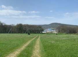 Лот № 74286

Участок 11 соток , село Гончарное-2. Балаклавский...